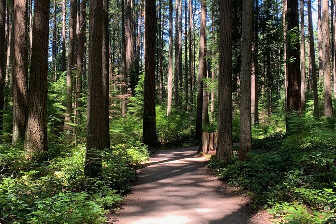 Vancouver Waterfront Guided Bike / Ebike Tour - Stanley Park and the first two hours