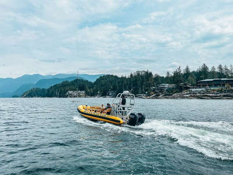 Vancouver: Waterfront Sightseeing Tour - City and Nature - Key things to know before you book