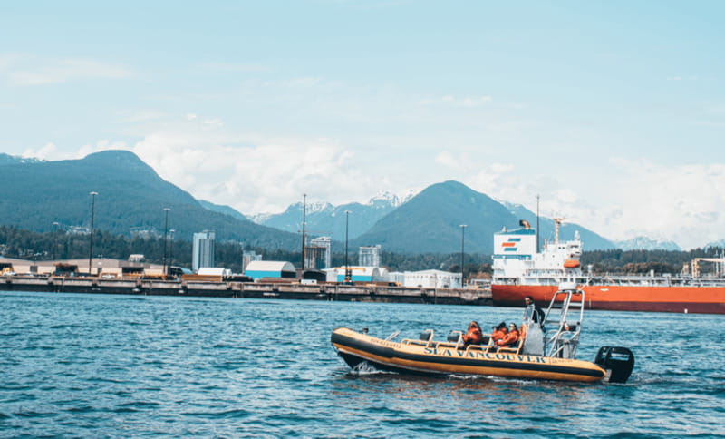 Vancouver: Waterfront Sightseeing Tour - City and Nature - Lighthouse Park and the seal colony