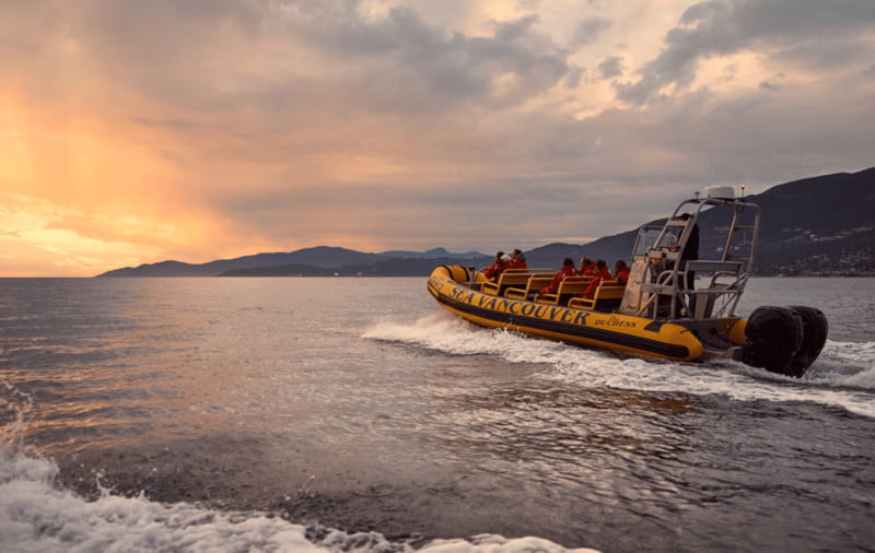 Vancouver: Waterfront Sightseeing Tour - City and Nature - Spanish Banks and the return to False Creek