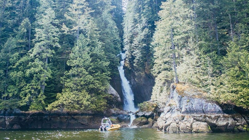 Vancouver: Waterfront Sightseeing Tour - City and Waterfall - Who will enjoy this speedboat tour
