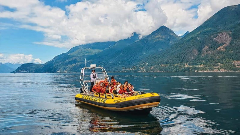 Vancouver: Waterfront Sightseeing Tour - City and Waterfall - Wildlife on the water