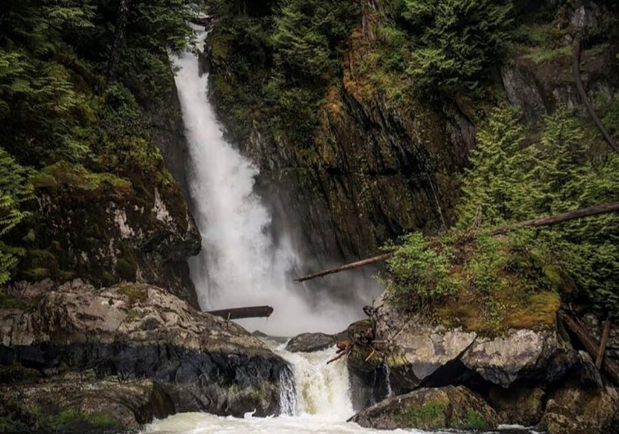 Vancouver: Waterfront Sightseeing Tour - City and Waterfall - The return ride deserves a practical warning