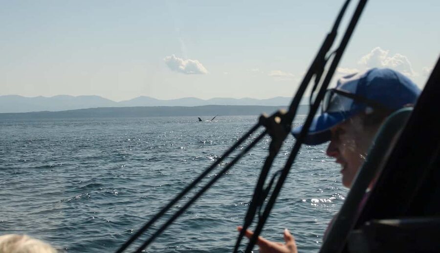 Vancouver: Zodiac Whale Watching Tour from Granville Island - The practical booking details that matter