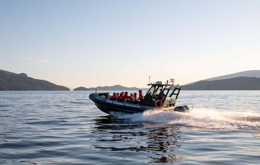 Vancouver: Zodiac Whale Watching Tour from Granville Island - Four hours of searching, watching, and learning