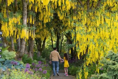 VanDusen Botanical Garden Admission Ticket