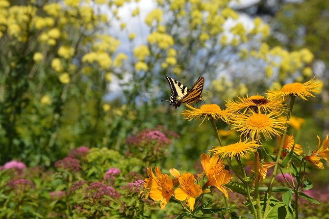 VanDusen Botanical Garden Admission Ticket - Who will enjoy VanDusen most?