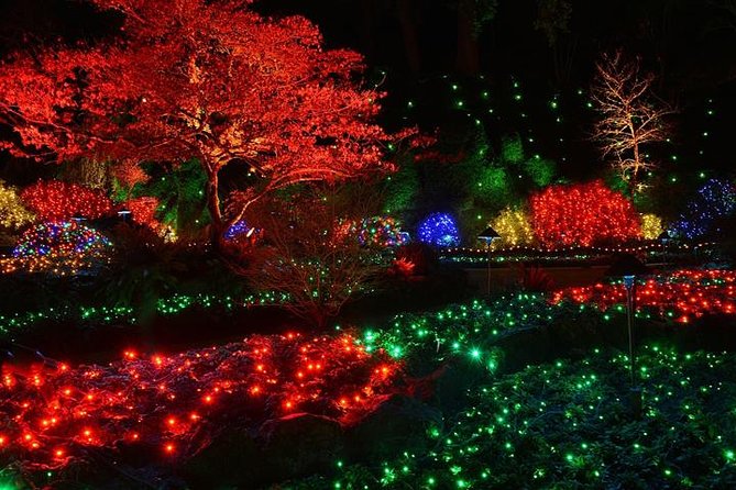 Victoria and Butchart Gardens Christmas Tour - Two hours around Victoria’s Inner Harbour
