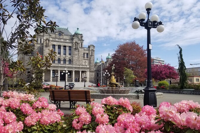 Victoria City Highlights Pedal or E-Bike Tour - Hoods & Legends - Fernwood adds a more local side of Victoria