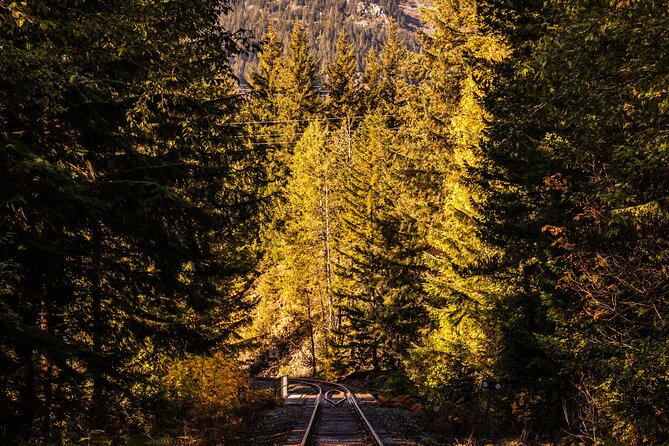 Waterfalls to Whistler Private Tour One Way - Shannon Falls is the easy first waterfall