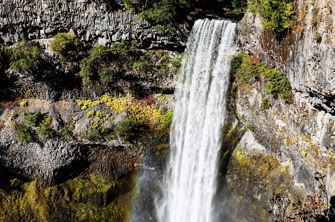 Waterfalls to Whistler Private Tour One Way - Is $175.55 per person good value?