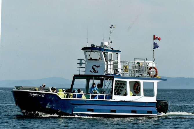Whale Watching Adventure from Vancouver BC - Boat comfort, speed, and weather
