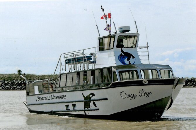 Whale Watching Adventure from Vancouver BC - Planning your day around the departure