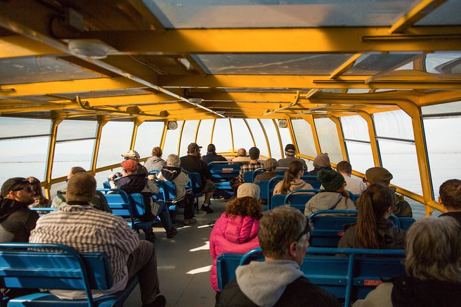 Whale-Watching Tour from Vancouver - Orcas, humpbacks, and the wildlife you may see