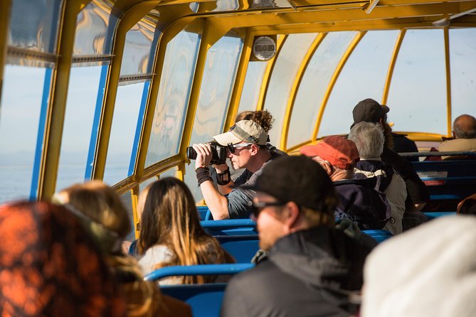 Whale-Watching Tour from Vancouver - The boat, viewing areas, and comfort