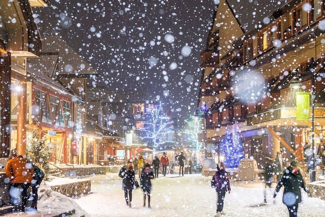 Whistler 1-Day Tour from Vancouver (Chn&Eng) - The Sea-to-Sky Highway gives you a full day of scenery