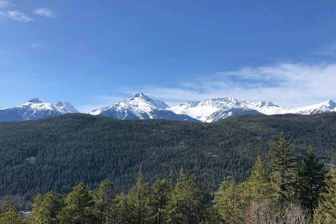 Whistler and Sea to Sky Gondola, a Fire and Ice Discovery Tour - Sea to Sky Gondola: one hour and 30 minutes above the trees