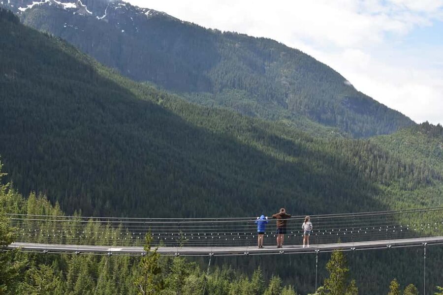 Whistler, Sea to Sky Gondola, and Shannon Falls Day Trip - Key things to know before you book