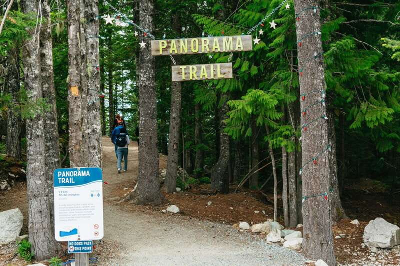 Whistler, Sea to Sky Gondola, and Shannon Falls Day Trip - Guides are a major part of the value