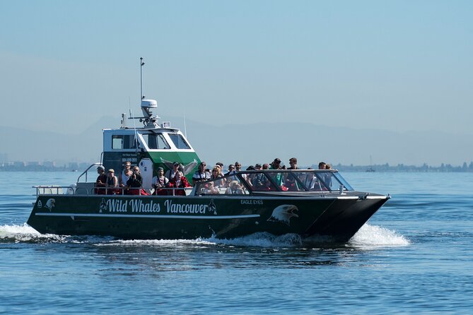 Wild Whale Watching Experience - Open Air Vessel - Booking, weather, and the return to Granville Island