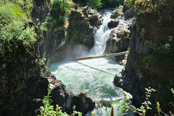 Wildlife, Waterfalls, Caves, Old Growth on Vancouver Island - A full day built around contrast
