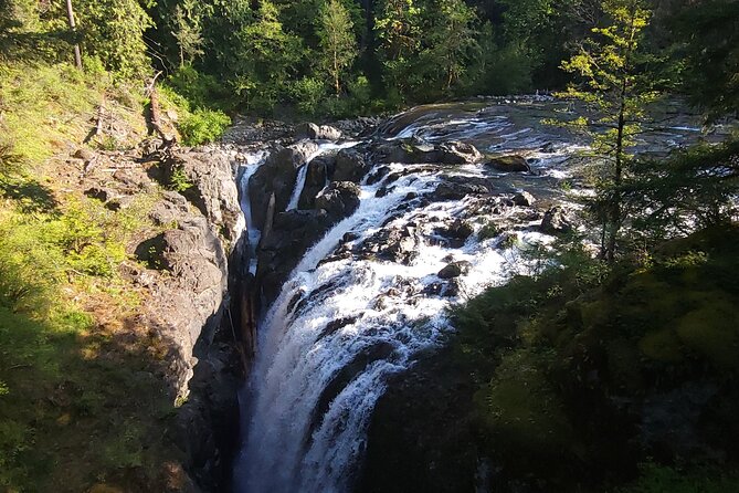 Wildlife, Waterfalls, Caves, Old Growth on Vancouver Island - What Noemie adds to the day